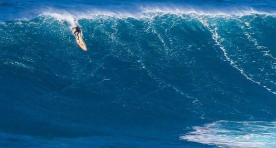 עומרי חצור בראיון מדהים על סאפ, גלישת גלים בהוואי והמאבק להחזיר את הים לעם
